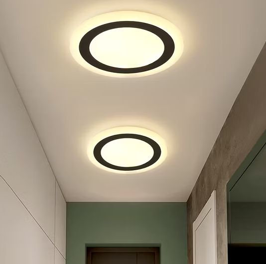 Roof Light