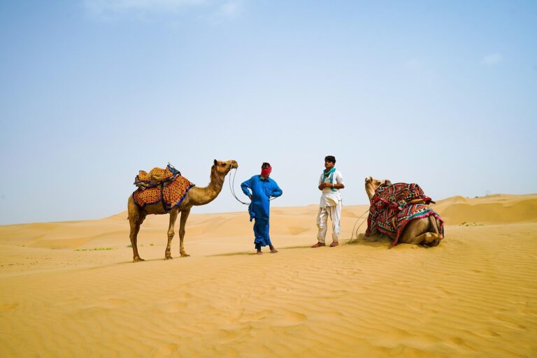 jaipur day tour