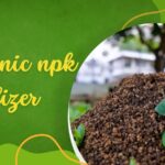 organic npk fertilizer