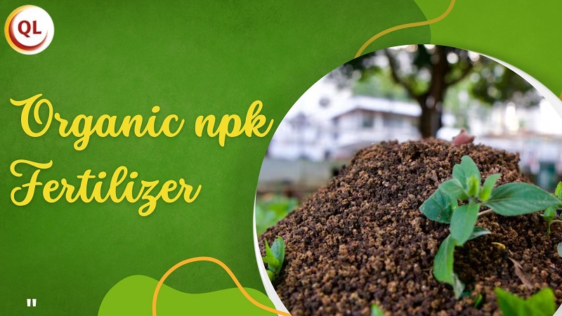 organic npk fertilizer