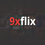 9xflix-021-1024x611 (1)