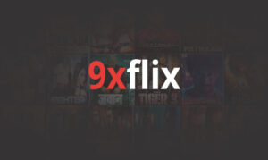 9xflix-021-1024x611 (1)