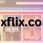 9xflix.com_ (3)