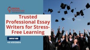 essay help