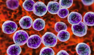 Adult Malignant Glioma Therapeutics Market