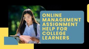 Assignment Help