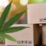 Hemp Shipping Box