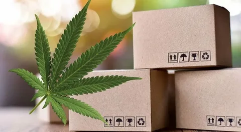 Hemp Shipping Box