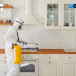 Home Sanitization Services in Bangalore - TechSquadTeam