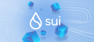 Sui Blockchain development usa