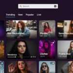 Whisk_a2d9c6f6722256190c3488119ac1e53edr