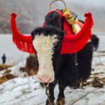 amit-gupta-v4YWEXgAFok-unsplash