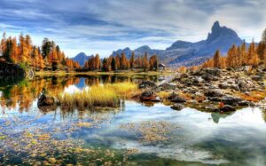 5 days golden triangle tour