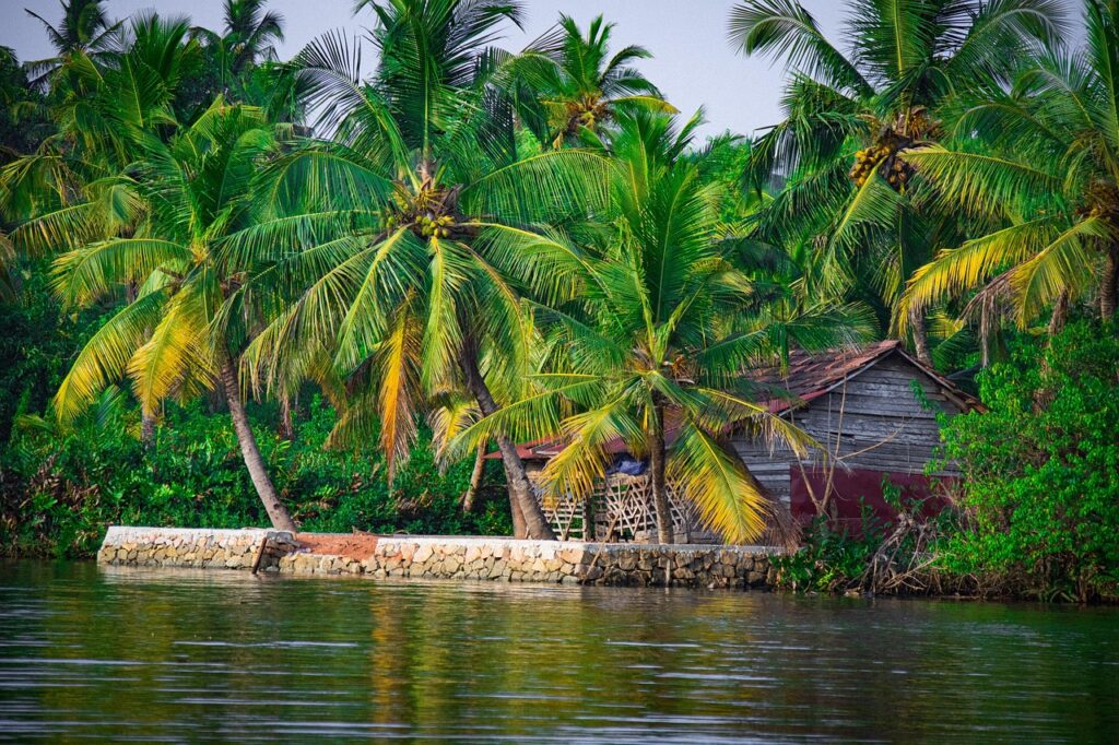 16 Days South India with Backwaters Tour Package