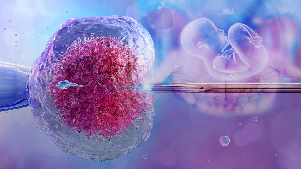 ivf (1)