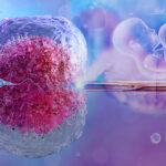 ivf (1)
