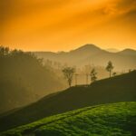 navi-nZniGS757fY-unsplash