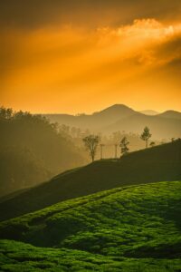 navi-nZniGS757fY-unsplash