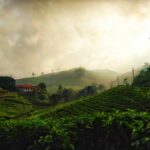 philip-liju-srvtMQSWDhE-unsplash