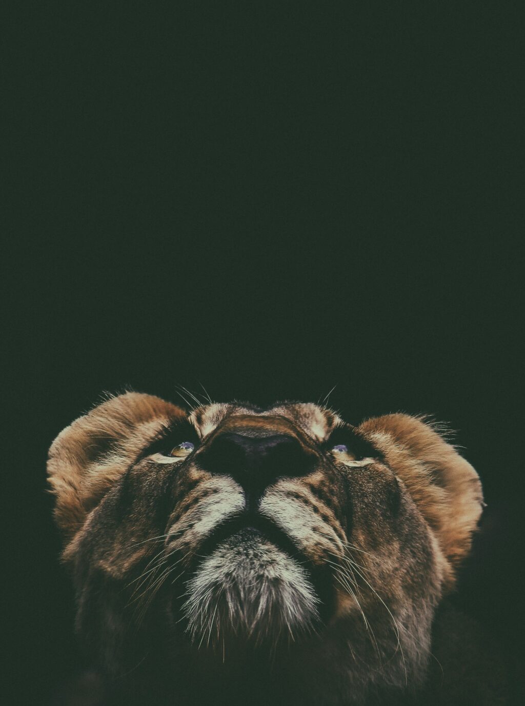 prince-david-MMKAbQPIXg8-unsplash