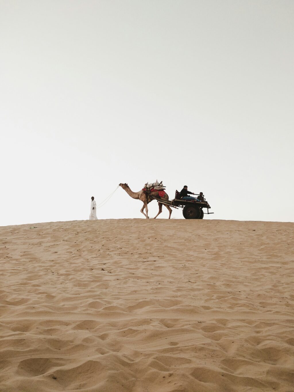 shravan-k-acharya-vFvfgCnrW4A-unsplash