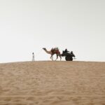shravan-k-acharya-vFvfgCnrW4A-unsplash