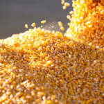 South Korea Animal Feed Market